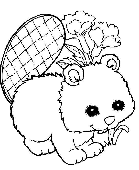 Animals coloring pages