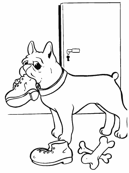 Animals coloring pages