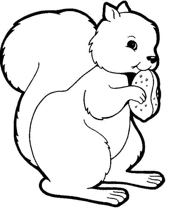 Animals coloring pages