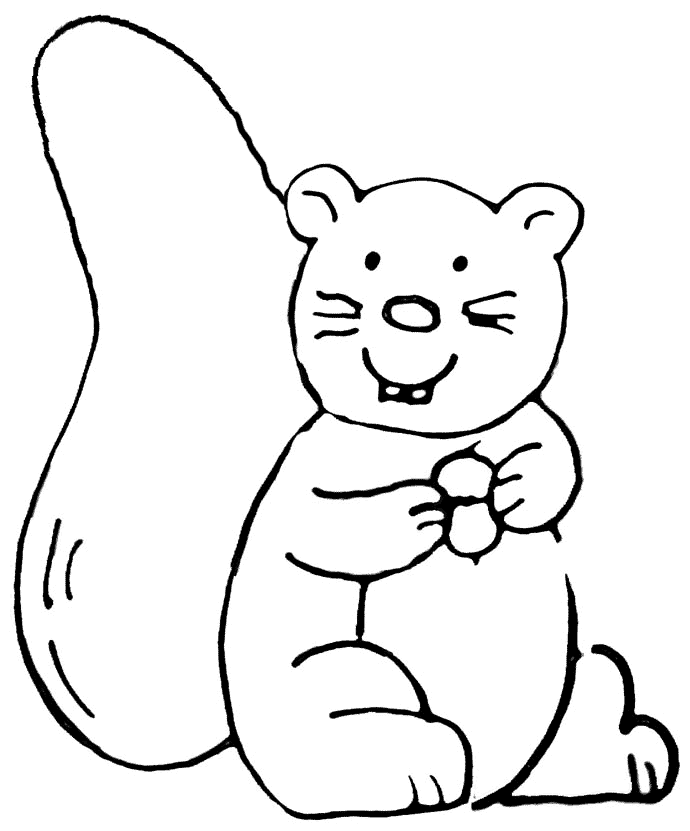 Animals coloring pages