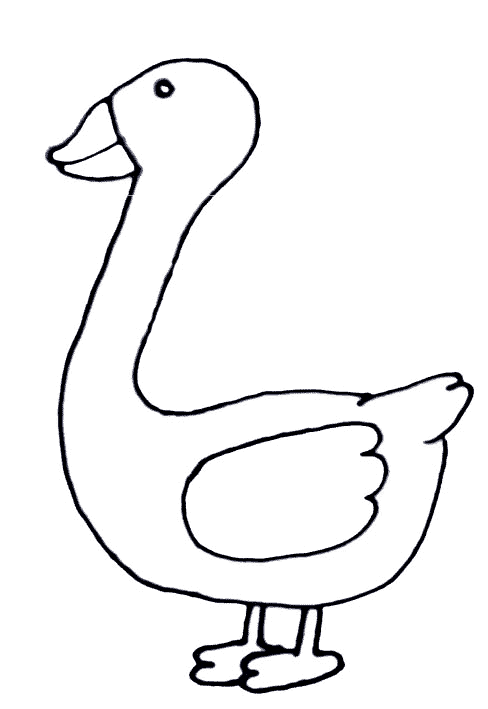 Animals coloring pages