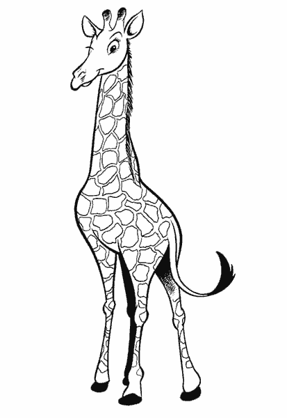 Animals coloring pages