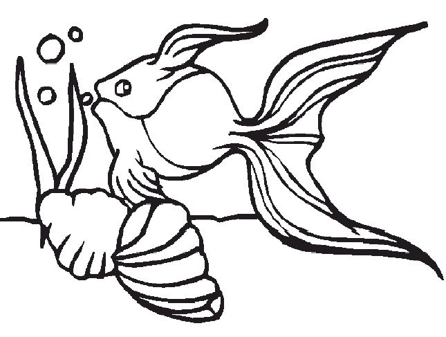 Animals coloring pages