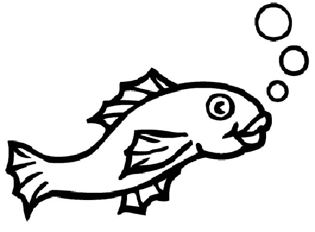 Animals coloring pages