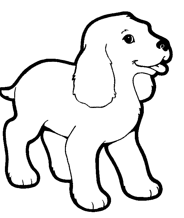 Animals coloring pages