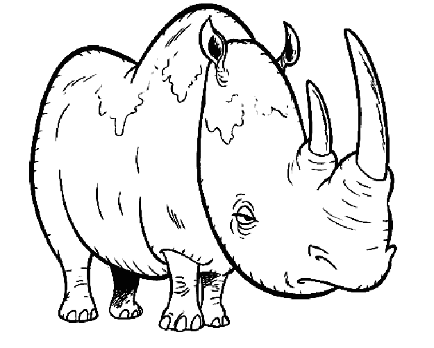 Animals coloring pages