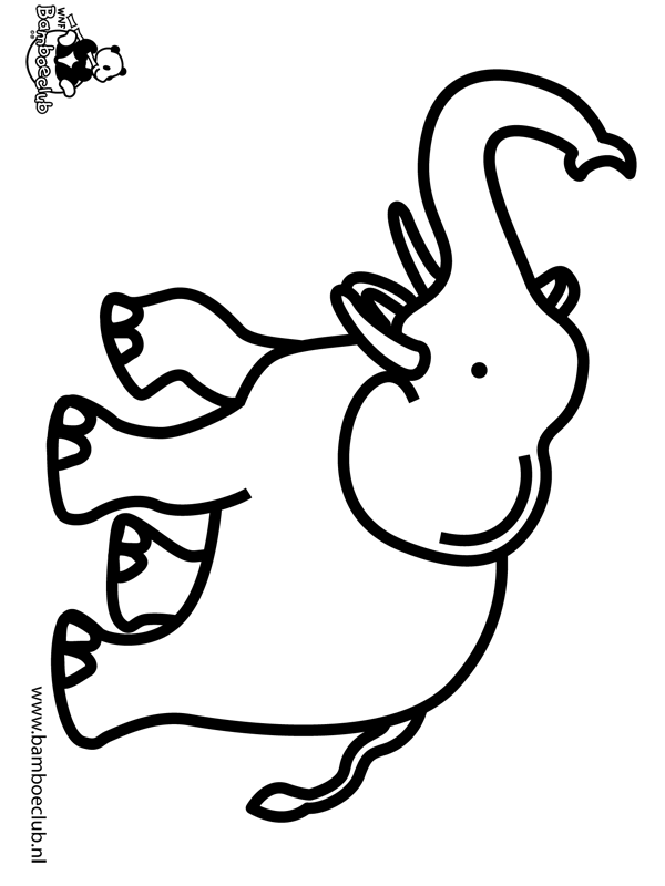 Animals coloring pages