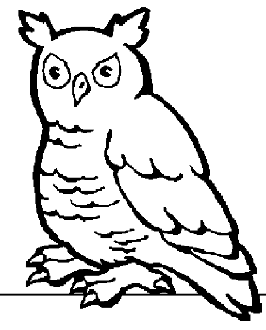 Animals coloring pages