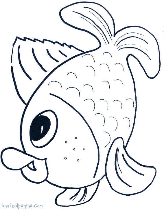 Animals coloring pages