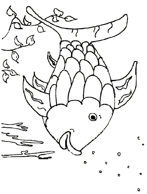 Animals coloring pages