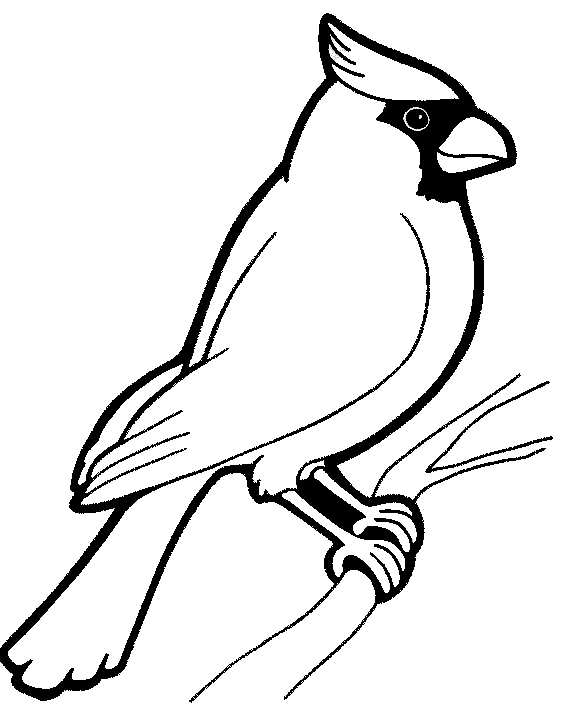 Animals coloring pages