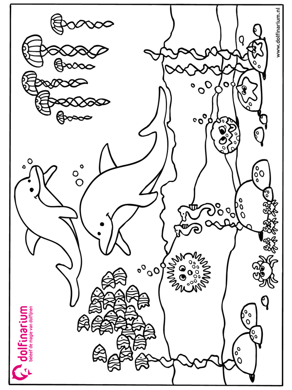 Animals coloring pages