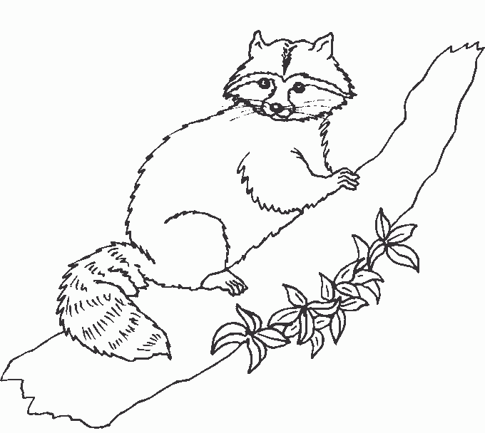 Animals coloring pages