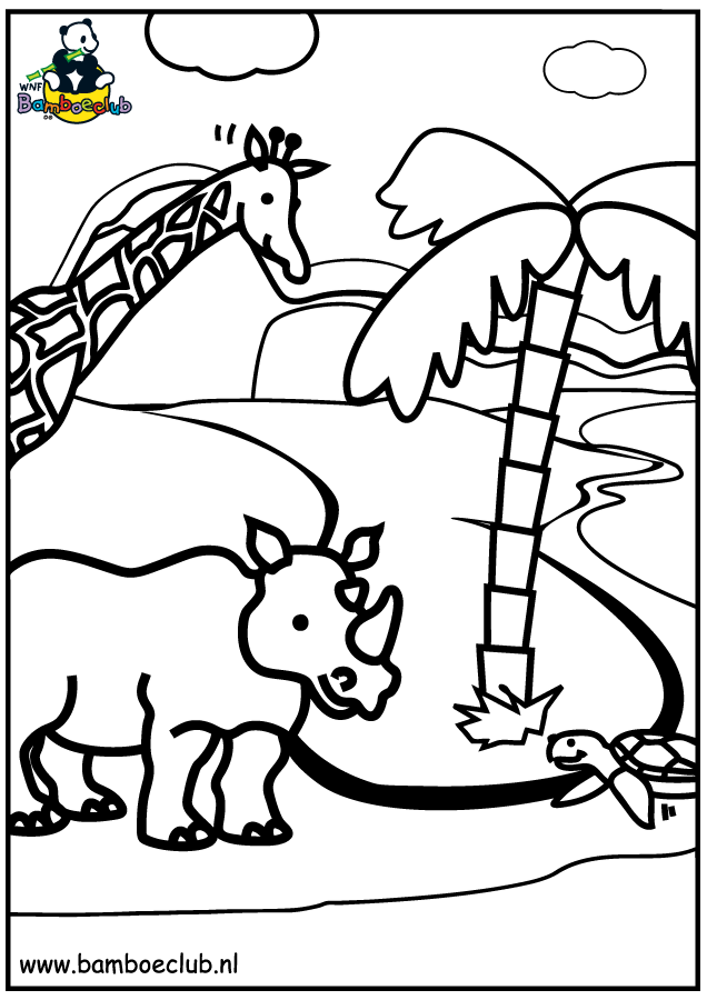 Animals coloring pages