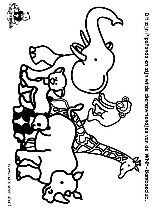 Animals coloring pages