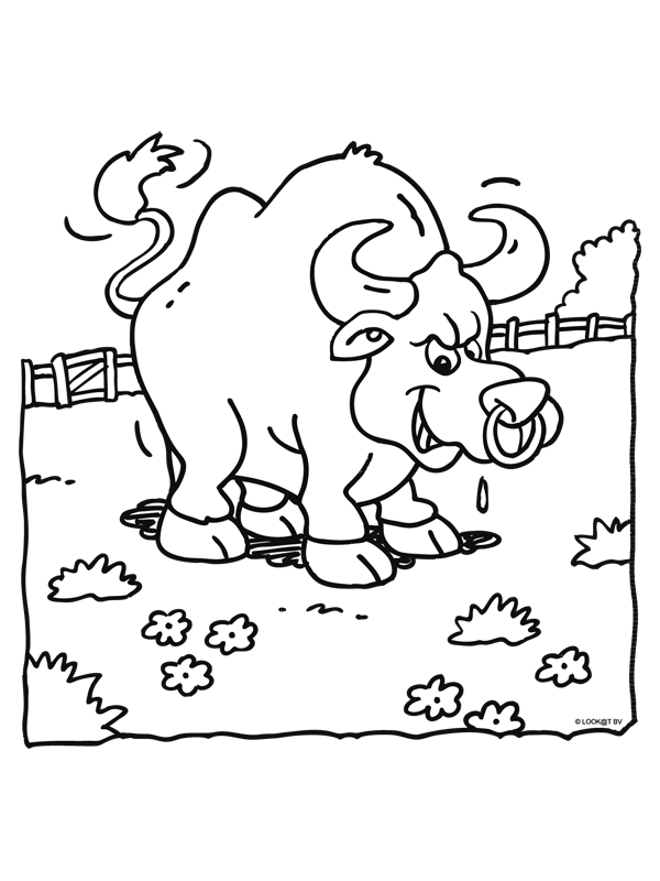 Animals coloring pages