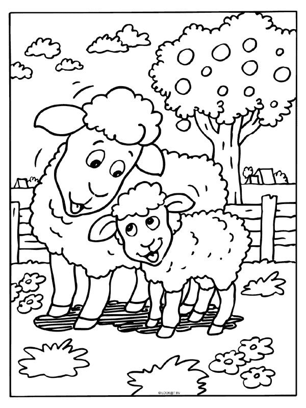 Animals coloring pages