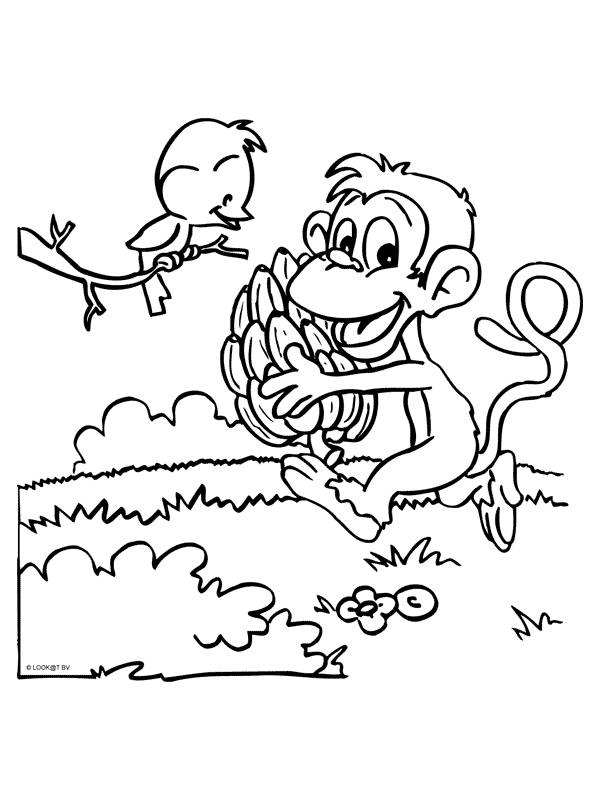 Animals coloring pages