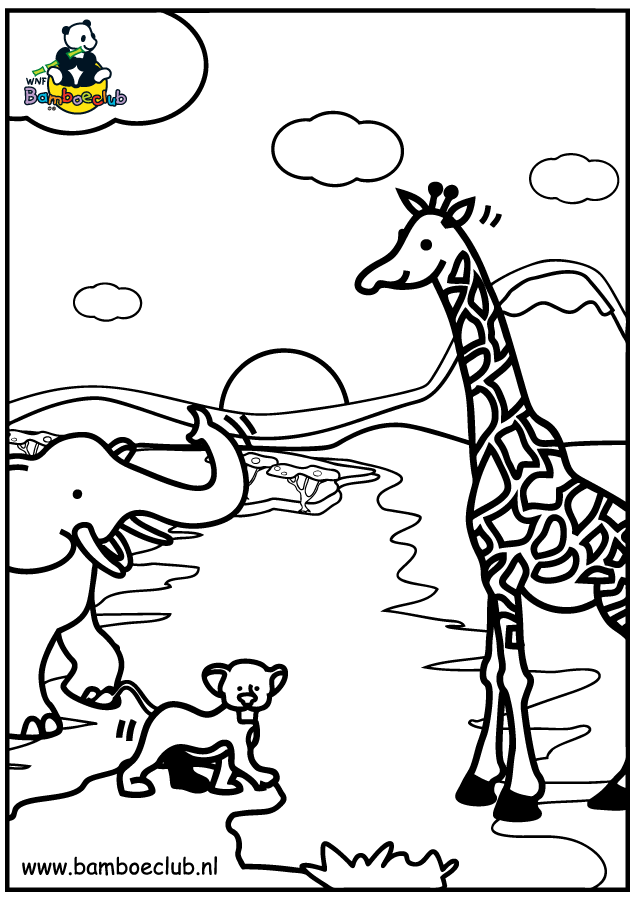 Animals coloring pages