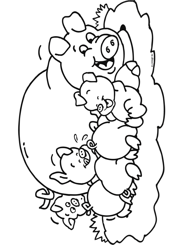 Animals coloring pages