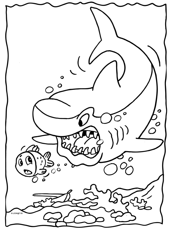 Animals coloring pages