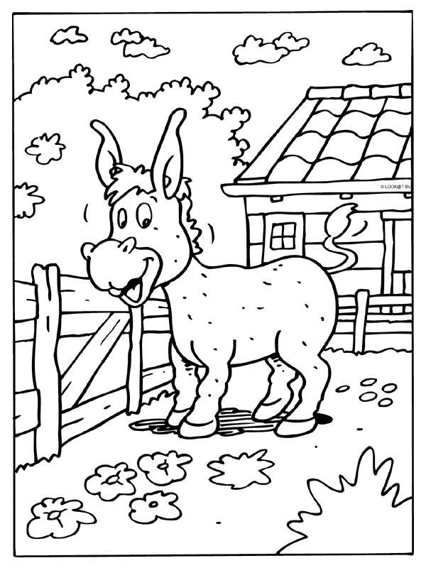 Animals coloring pages