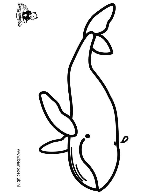 Animals coloring pages