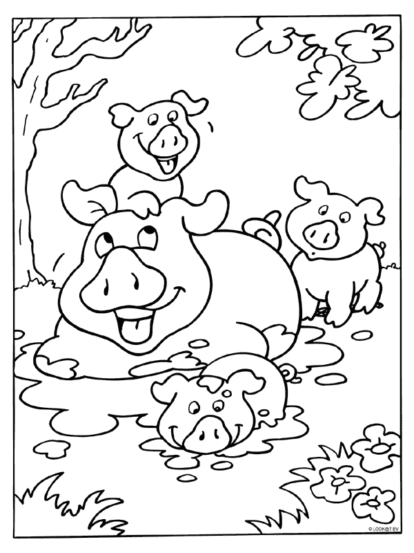 Animals coloring pages