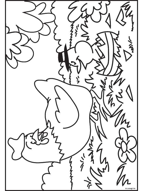 Animals coloring pages