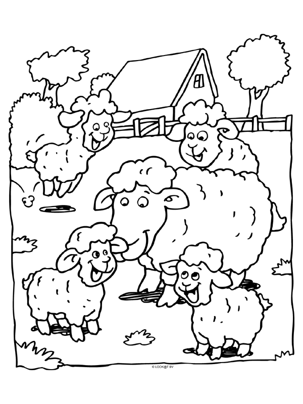 Animals coloring pages