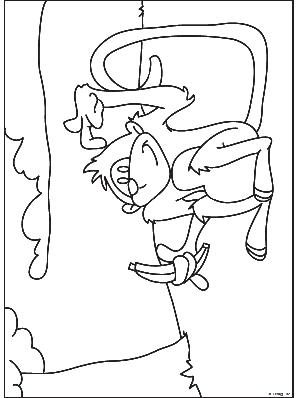 Animals coloring pages