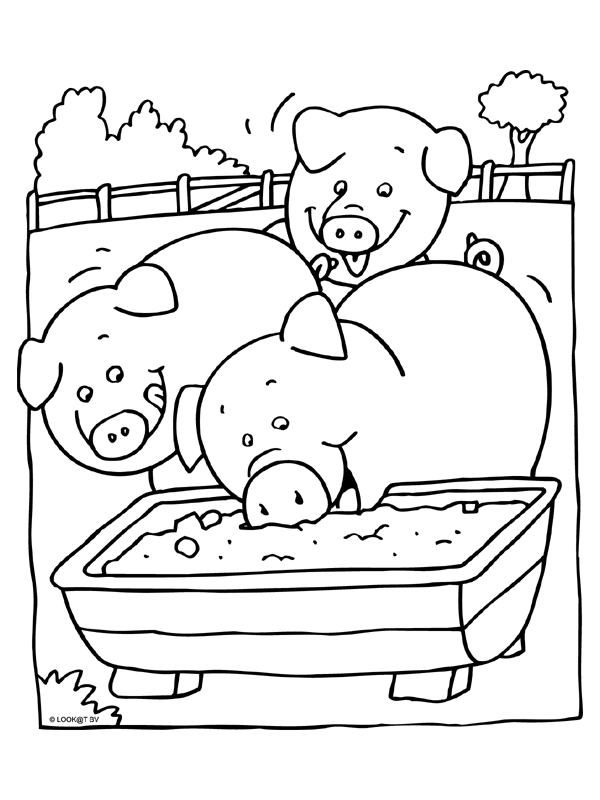 Animals coloring pages