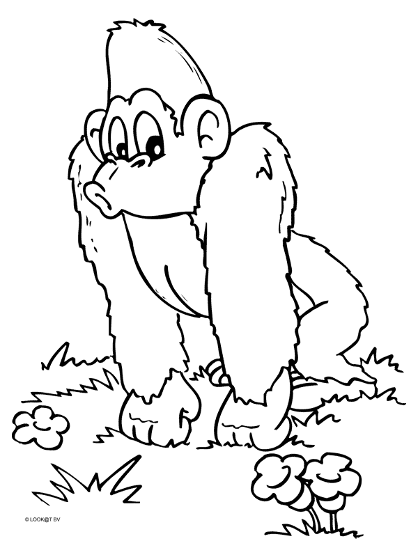 Animals coloring pages