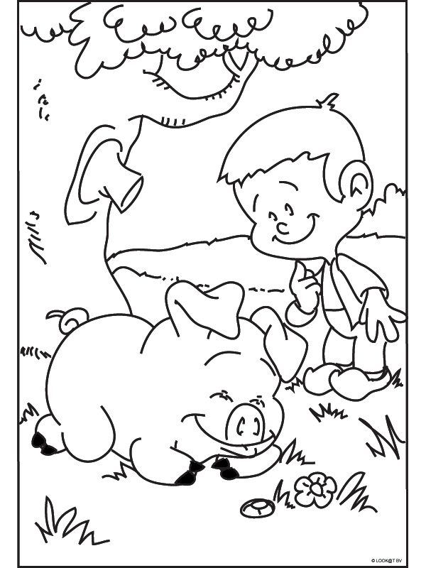 Animals coloring pages