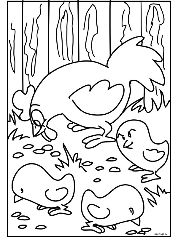 Animals coloring pages