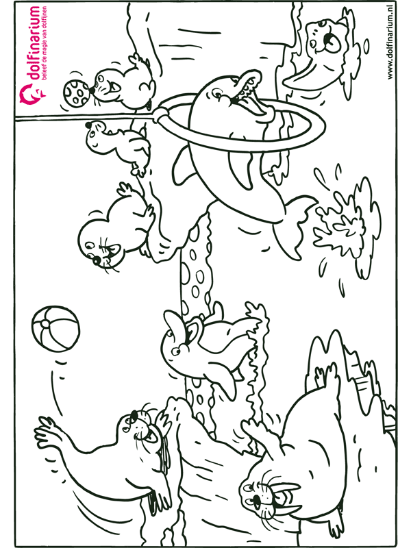 Animals coloring pages