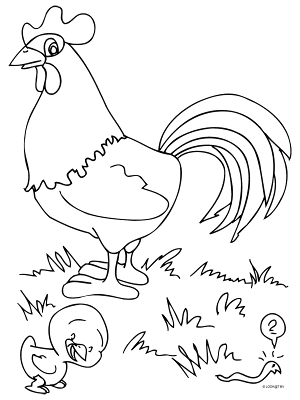 Animals coloring pages