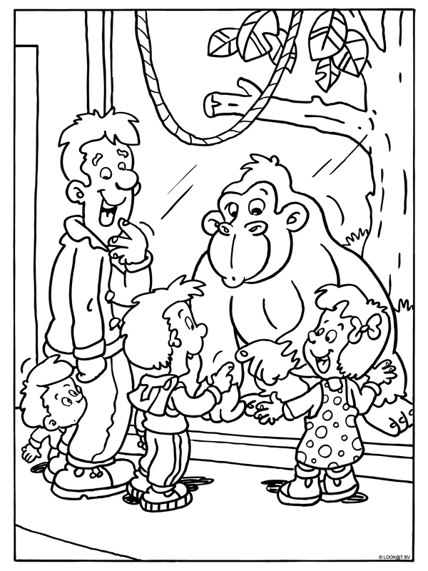 Animals coloring pages
