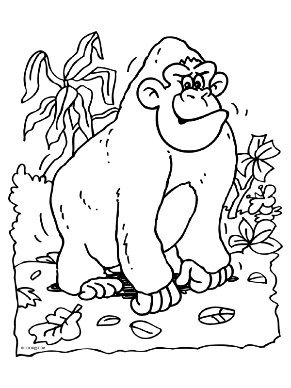 Animals coloring pages