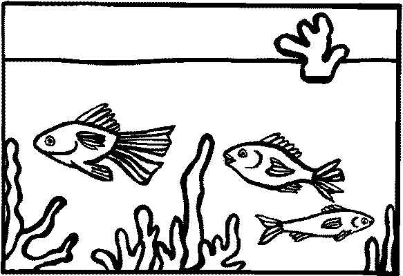 Aquarium coloring pages