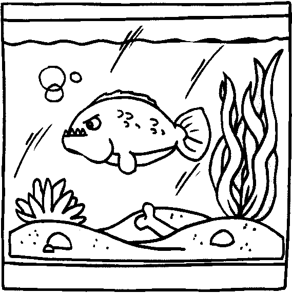 Aquarium coloring pages