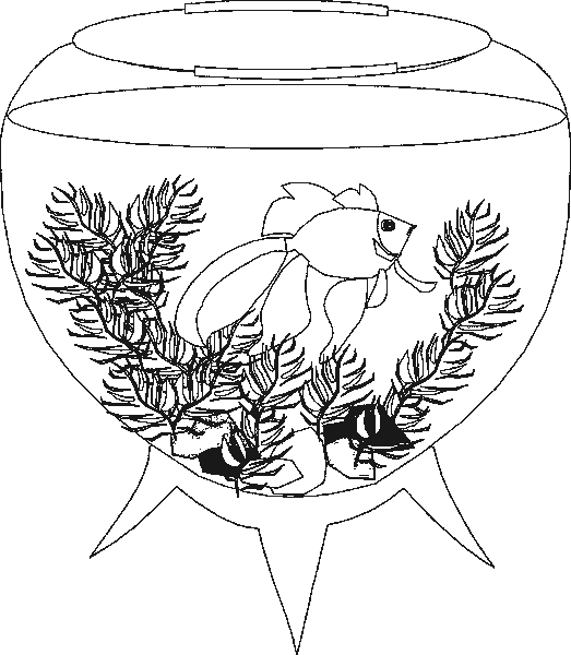 Aquarium coloring pages