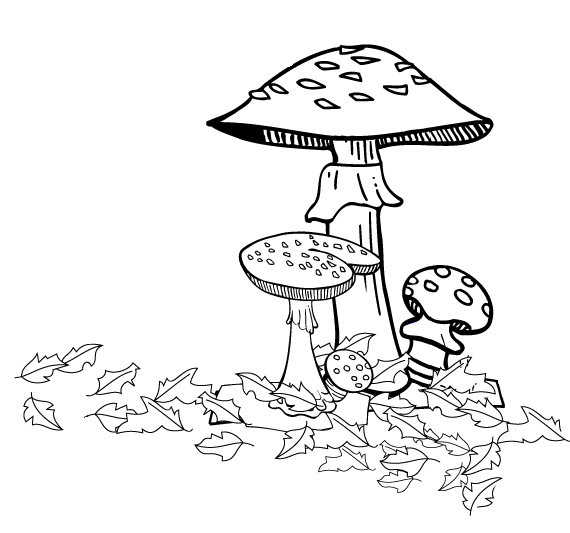 Autumn coloring pages