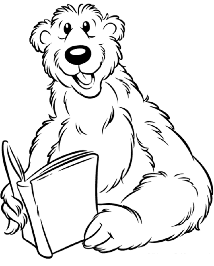 Bear coloring pages