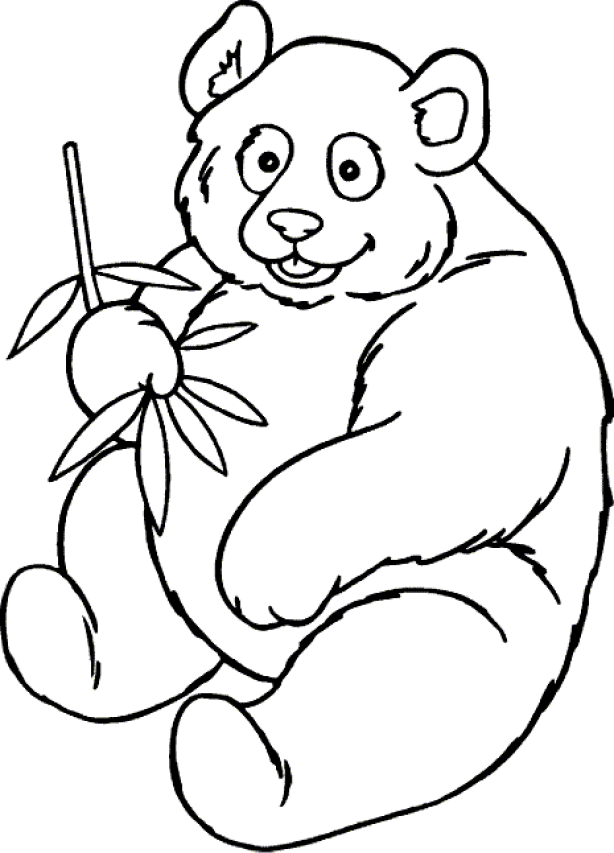 Bear coloring pages