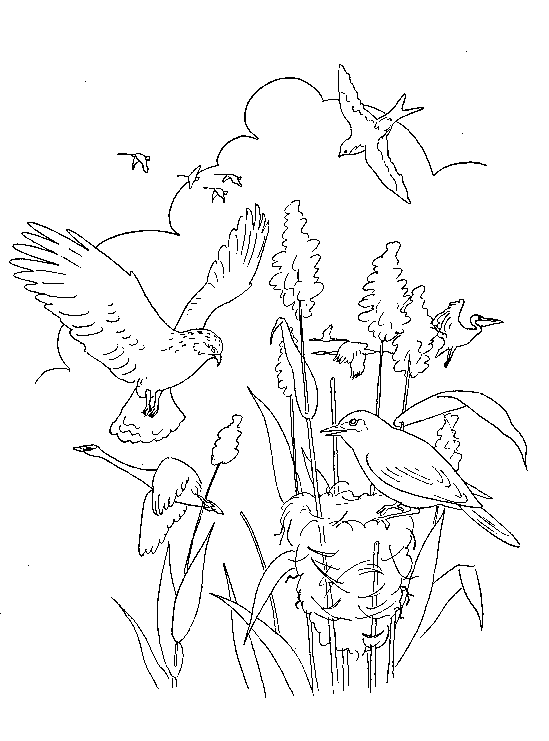 Bible stories coloring pages