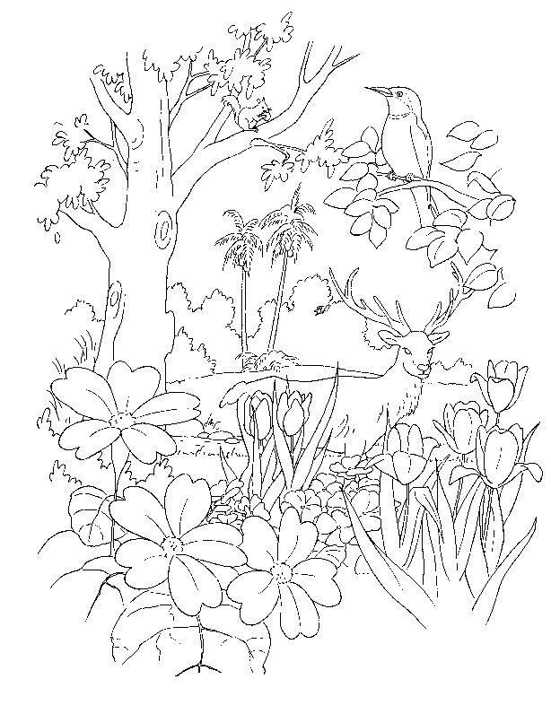 Bible stories coloring pages