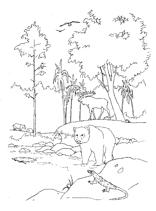 Bible stories coloring pages