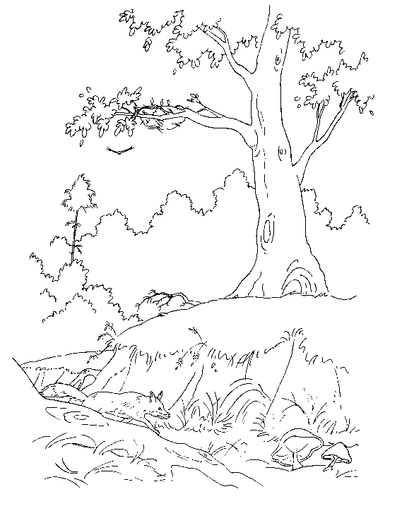 Bible stories coloring pages