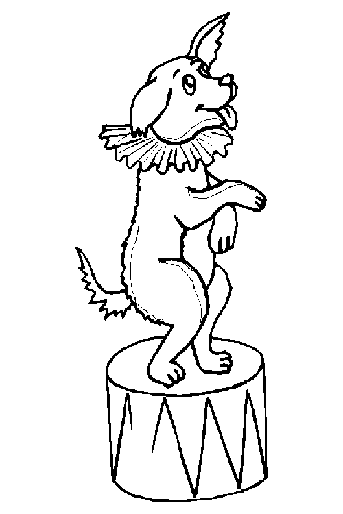 Circus coloring pages